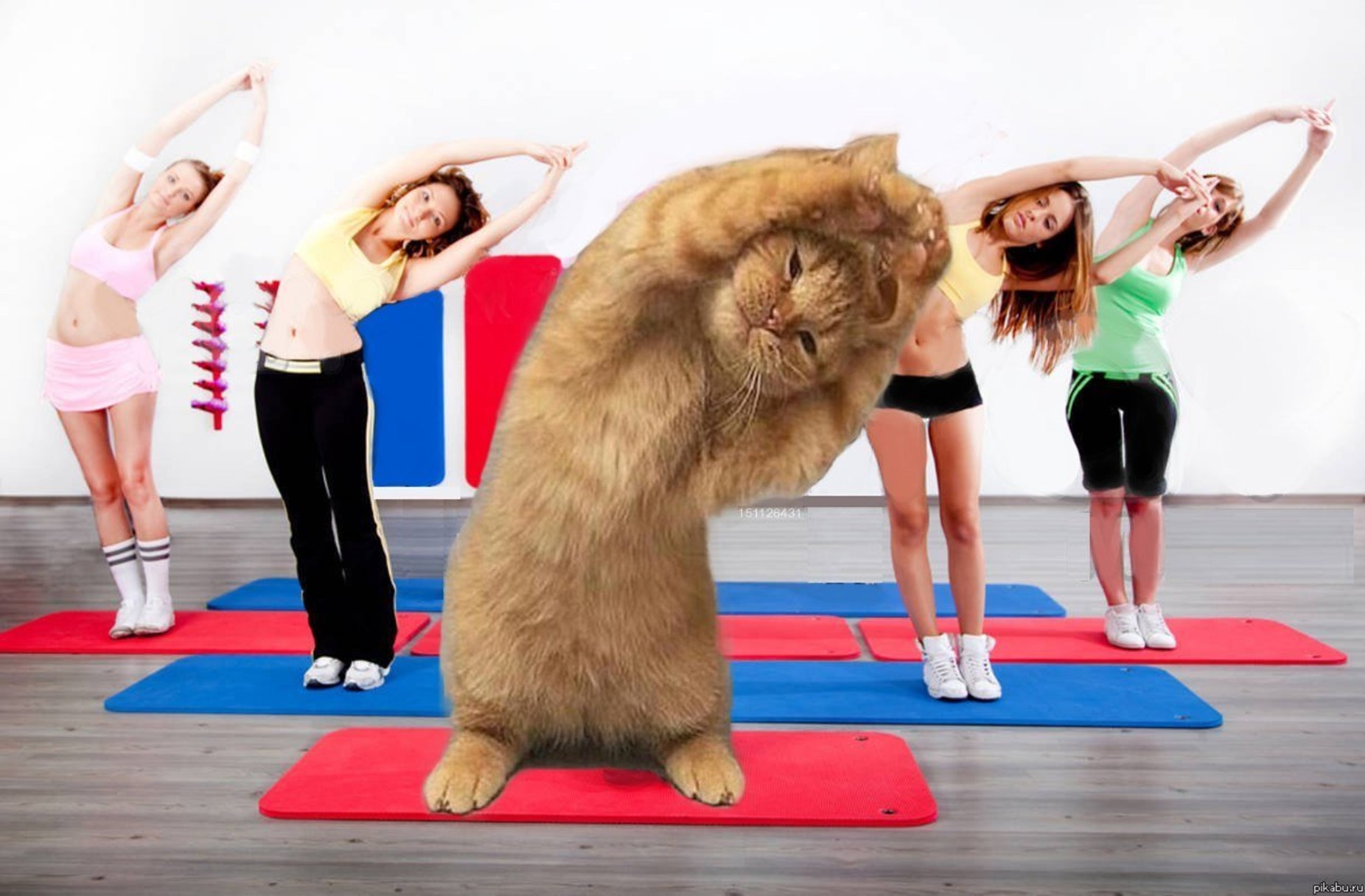 «БЕЗ ВРЕДНЫХ ПРИВЫЧЕК»